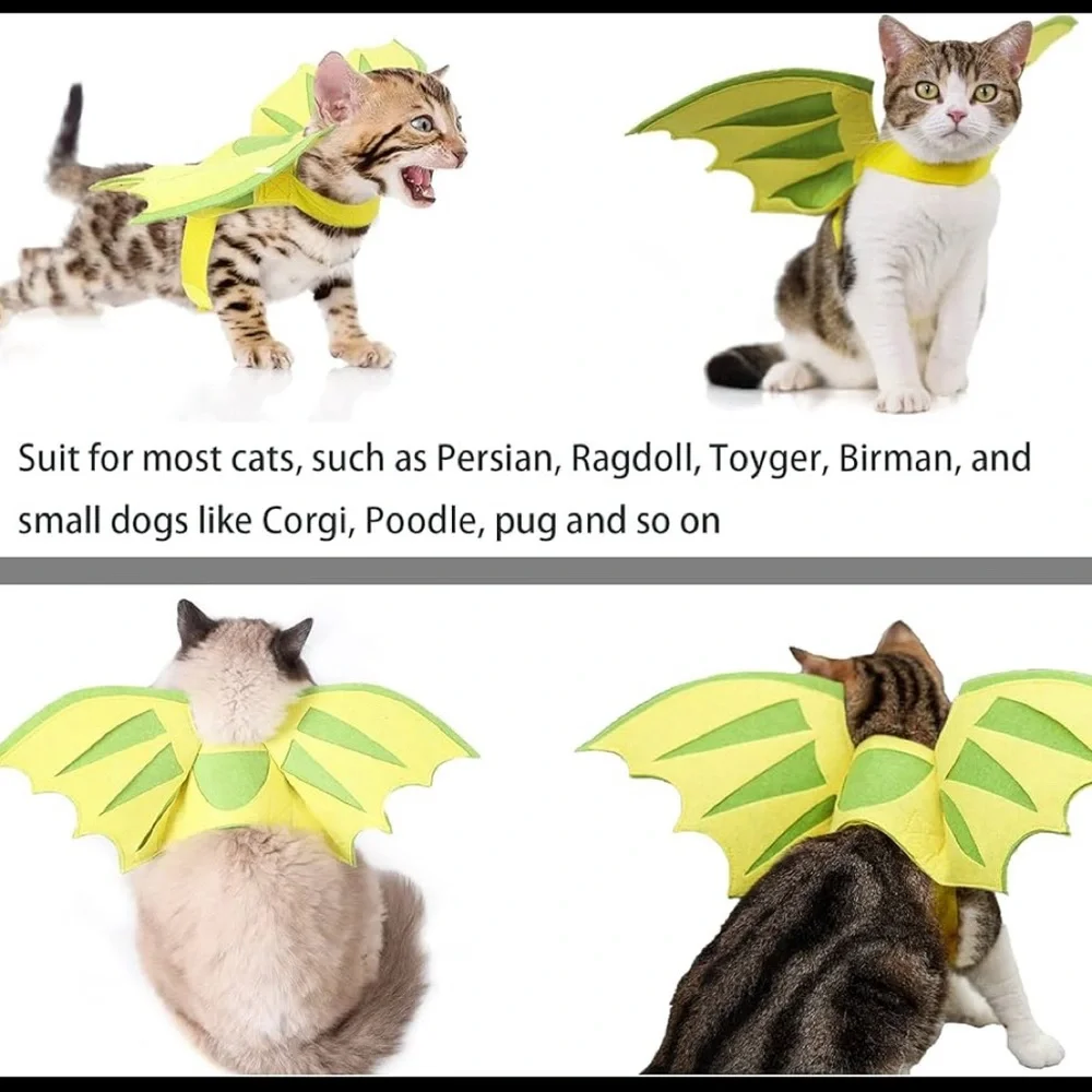 Green Dinosaur Wings Cat Costume - Picture 3 of 5